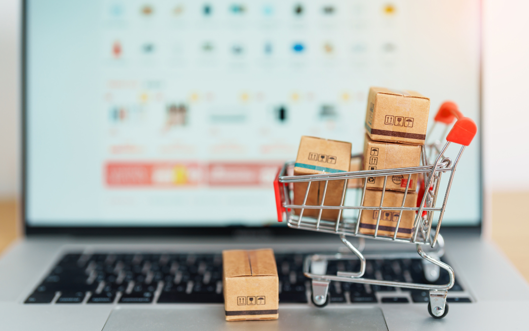 sito e-commerce serviz dangeloweb