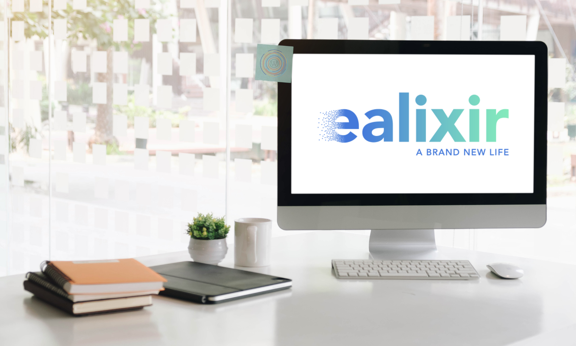 foto portfolio ealixir dangeloweb